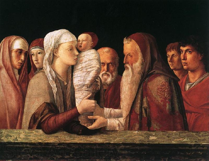 BELLINI, Giovanni Presentation at the Temple  yrfuy